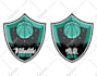design professional sports logo design