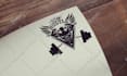 do an amazing business logo design