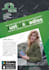 design eye catching posters, banners and ads
