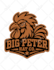 redesign or fix your logo professionally in vector  files