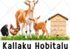 do jpg to vector conversion with adobe illustrator