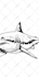 draw black and white vector art from your image