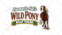 fix, redraw and recreate your logo or any design