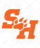 do custom t shirt design and logo