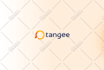 design modern professional business logo design and brand identity