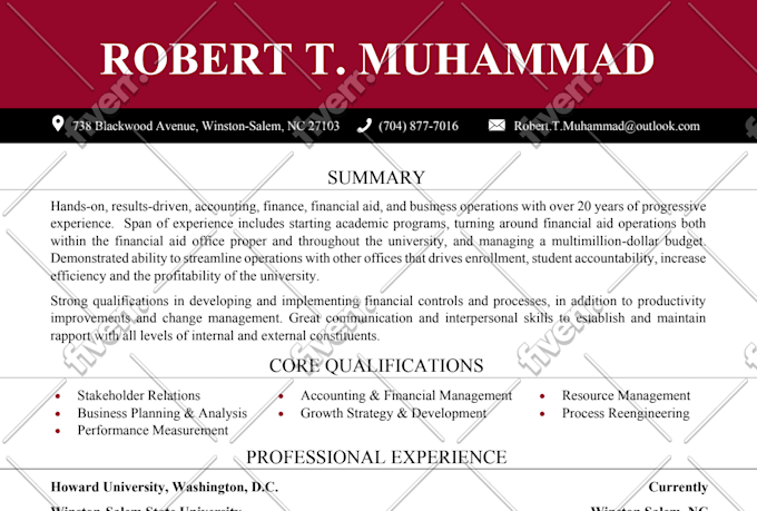 provide professional resume design and CV design