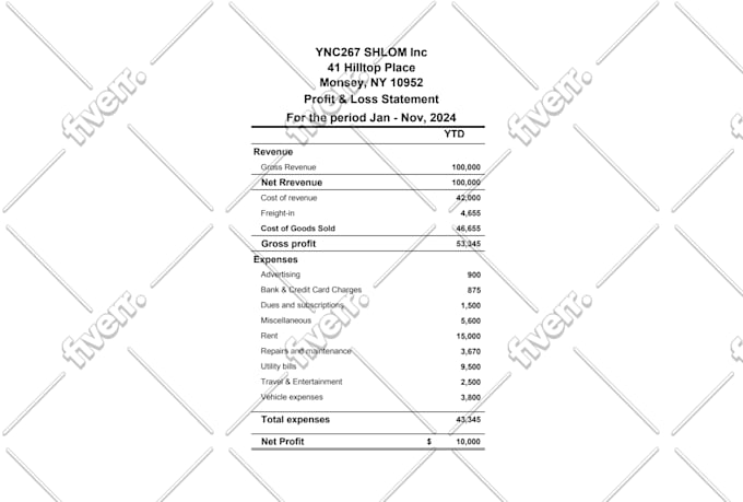 prepare professional financial statements p and l and balance sheets in 24 hours