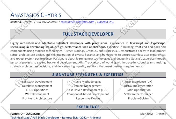 craft a top tier software engineer resume as a pro recruiter and CV maker