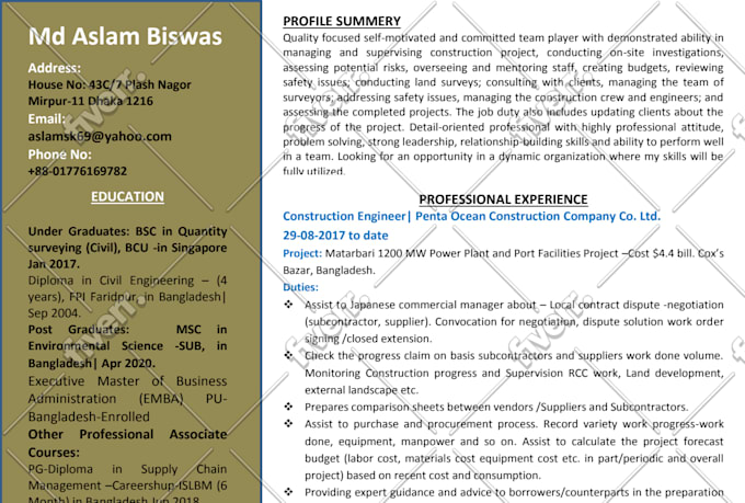 provide professional resume writing services