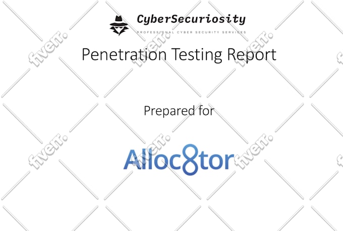 do professional penetration testing
