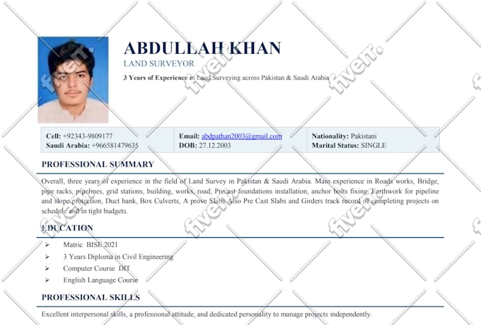 provide professional resume writing and cover letter services
