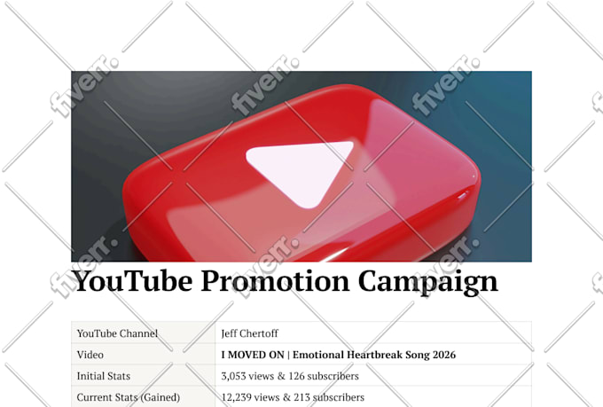 do professional video promotion in USA