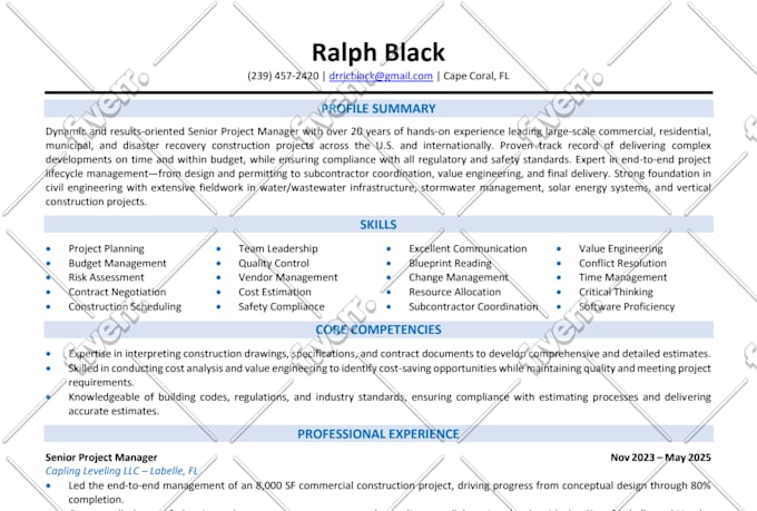provide executive level ats resume writing service