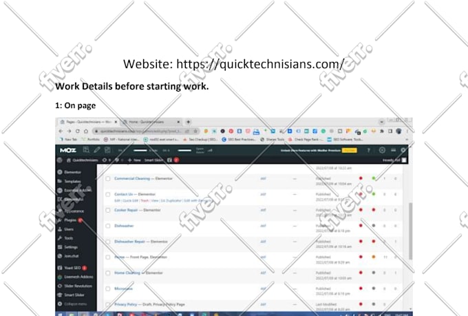 provide SEO service for your website or blogs