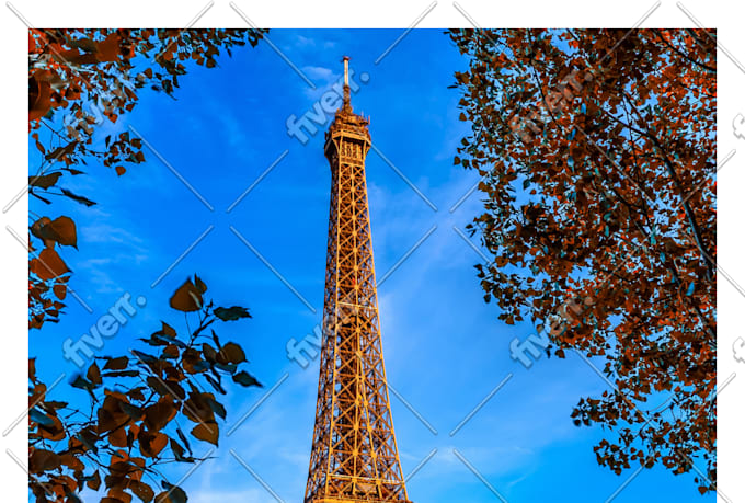 proofread and edit your text in french in 24 hours