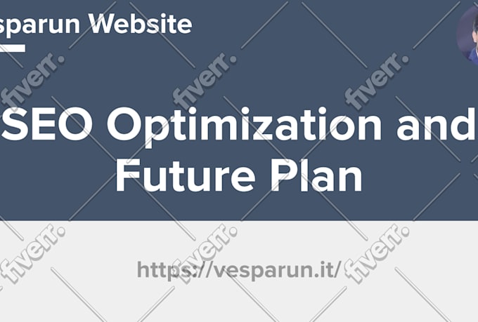 perform website SEO audit and optimization to rank