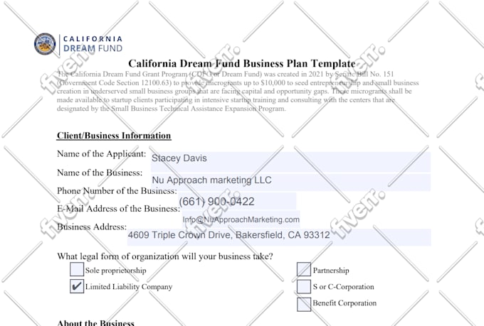 do business projection for your business