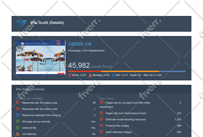 audit your website and send a detailed report