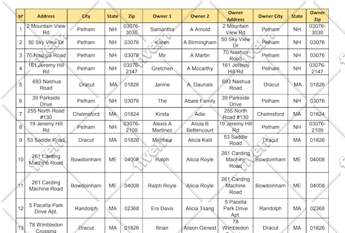 clean, organize, and format your excel data professionally