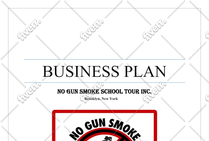 make a professional business plan and business proposal for startups