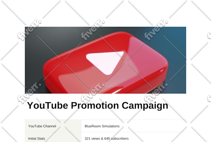 do professional video promotion in USA