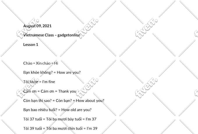 teach you how to speak and write vietnamese like a native