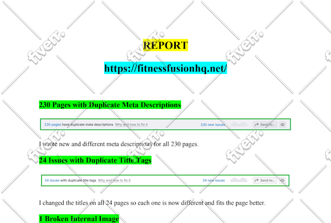 do wordpress SEO and fix all issues