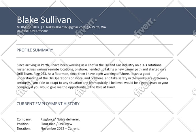 write, edit your resume, cl and linkedin profile