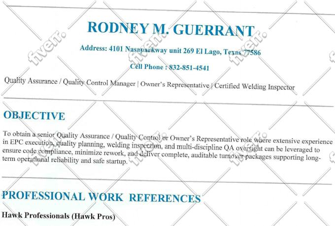 revamp CV expert resume maker european german write canadian USA ats style UK