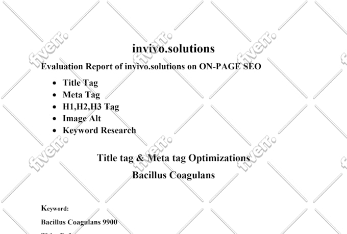 do on page SEO off page and technical optimization of wordpress site