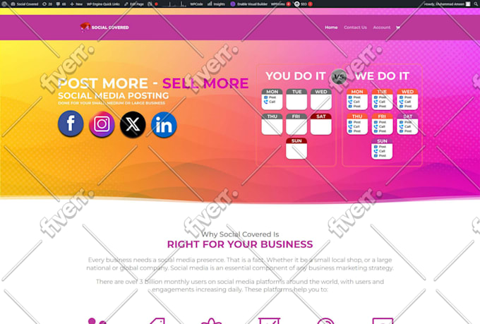design redesign, and develop a wordpress website for business or ecommerce