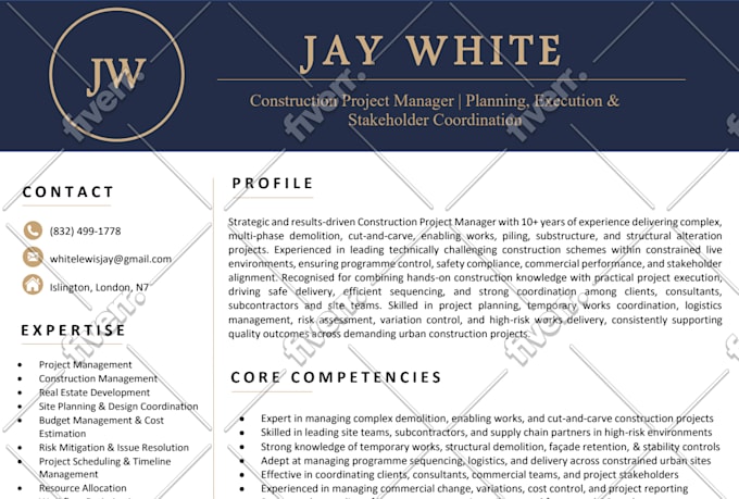 write resume, CV for IT, healthcare, nursing, project management, engineering