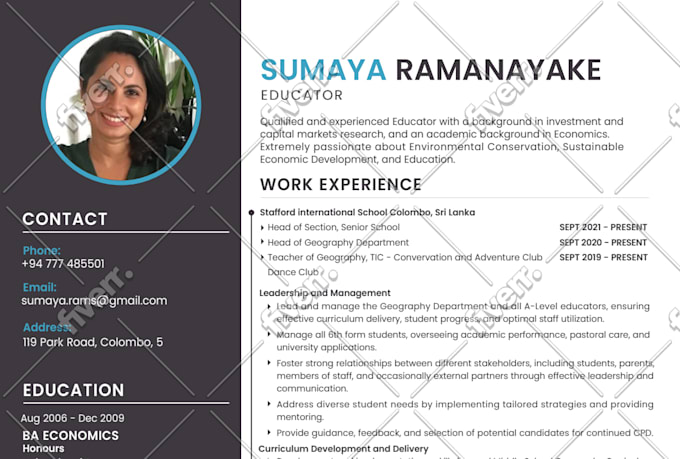 design modern resume cv templates in any format