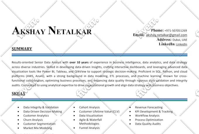 write professional resume writing and linkedin profile