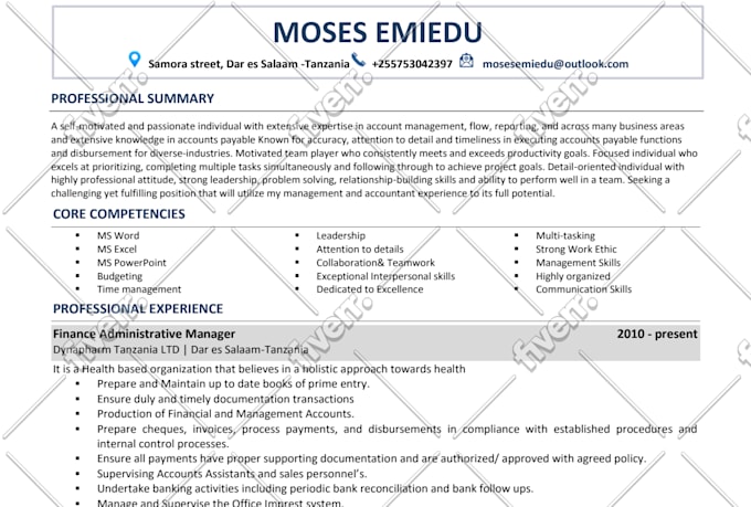 write perfect engineering resume tech resume or IT resume for you