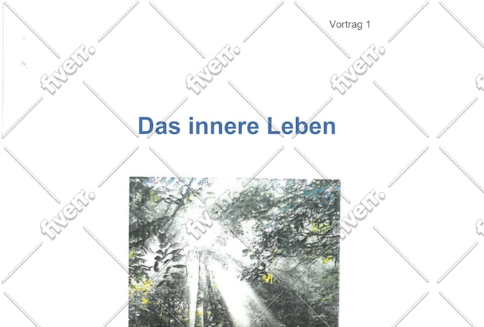 provide professional manual german to english translation