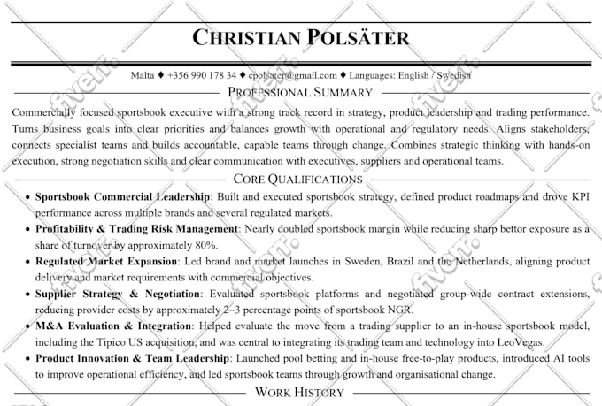 write, edit your CV, resume, cover letter and linkedin profile