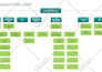 design professional org charts, flowcharts, and infographics