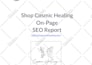 provide monthly SEO service with high quality backlinks