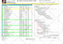 make ms project plan, gantt chart and risk register