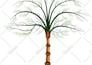 create a detailed family tree in arabic or in english