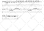make accurate bass transcription, tab for you