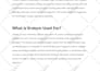 be your SEO blog content writer