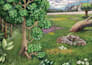 draw custom wildlife animal art