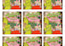 resize image,crop, image resize,photo crop,image crop