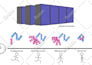 illustrate scientific figures for journal publications