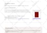 recreo cualquier diseño o documento en canva editable