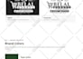 create professional graphic designs
