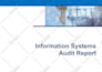 provide professional project management services