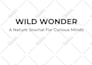 do planer and journal design on indesign